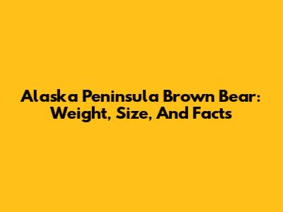 Alaska Peninsula Brown Bear: Weight, Size, And Facts