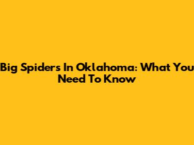 Big Spiders In Oklahoma: What You Need To Know