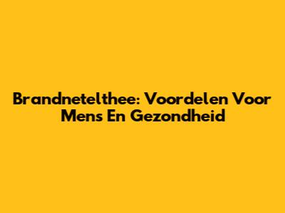 Brandnetelthee: Voordelen Voor Mens En Gezondheid