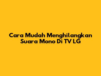 Cara Mudah Menghilangkan Suara Mono Di TV LG