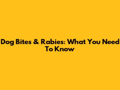 Dog Bites & Rabies: What You Need To Know