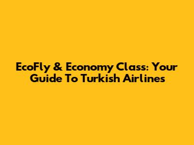 EcoFly & Economy Class: Your Guide To Turkish Airlines