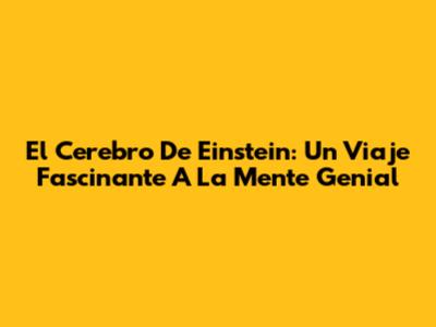 El Cerebro De Einstein: Un Viaje Fascinante A La Mente Genial