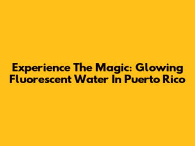 Experience The Magic: Glowing Fluorescent Water In Puerto Rico
