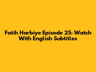 Fatih Harbiye Episode 25: Watch With English Subtitles
