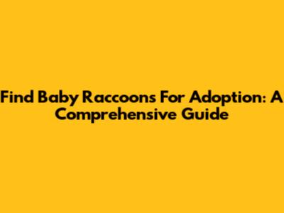 Find Baby Raccoons For Adoption: A Comprehensive Guide