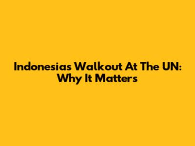 Indonesia's Walkout At The UN: Why It Matters