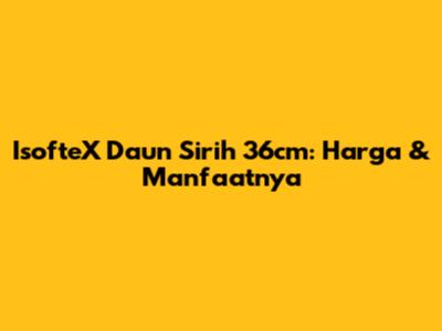 IsofteX Daun Sirih 36cm: Harga & Manfaatnya