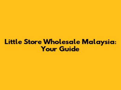 Little Store Wholesale Malaysia: Your Guide