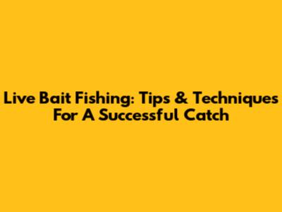 Live Bait Fishing: Tips & Techniques For A Successful Catch