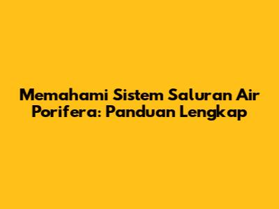 Memahami Sistem Saluran Air Porifera: Panduan Lengkap