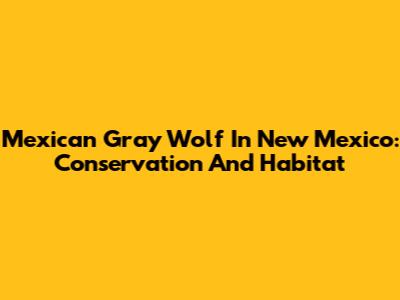 Mexican Gray Wolf In New Mexico: Conservation And Habitat