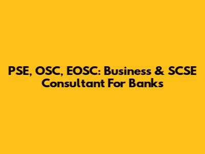 PSE, OSC, EOSC: Business & SCSE Consultant For Banks