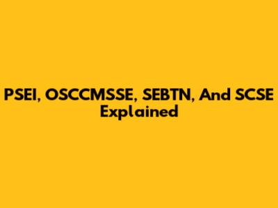 PSEI, OSCCMSSE, SEBTN, And SCSE Explained