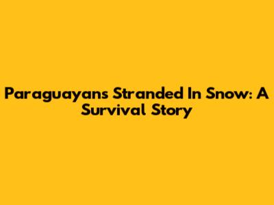 Paraguayans Stranded In Snow: A Survival Story