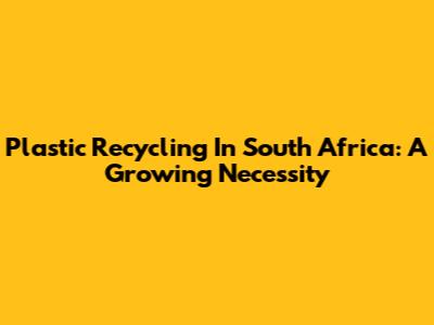 Plastic Recycling In South Africa: A Growing Necessity