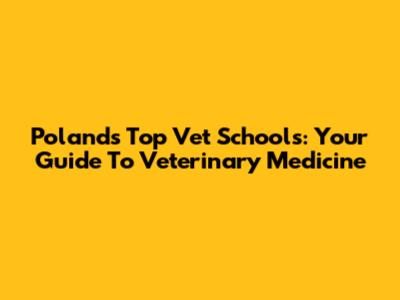 Poland's Top Vet Schools: Your Guide To Veterinary Medicine
