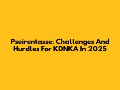 Pseirentasse: Challenges And Hurdles For KDNKA In 2025