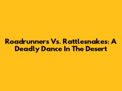 Roadrunners Vs. Rattlesnakes: A Deadly Dance In The Desert