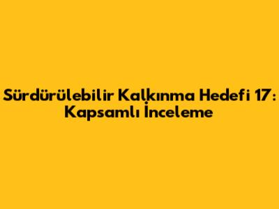 Sürdürülebilir Kalkınma Hedefi 17: Kapsamlı İnceleme