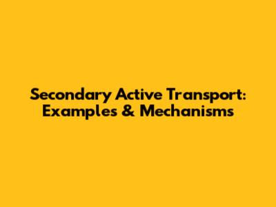 Secondary Active Transport: Examples & Mechanisms