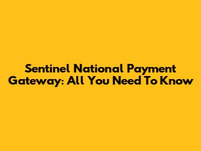 Sentinel National Payment Gateway: All You Need To Know