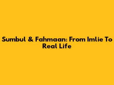 Sumbul & Fahmaan: From Imlie To Real Life