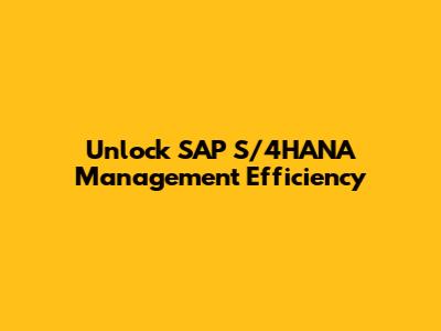 Unlock SAP S/4HANA Management Efficiency