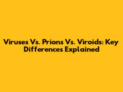Viruses Vs. Prions Vs. Viroids: Key Differences Explained