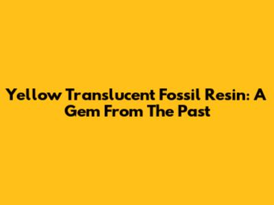Yellow Translucent Fossil Resin: A Gem From The Past